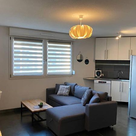 F2 Au Calme, Proche Gare, Center Parc, Sainte Croix Apartment ซาร์บูร์ก ภายนอก รูปภาพ
